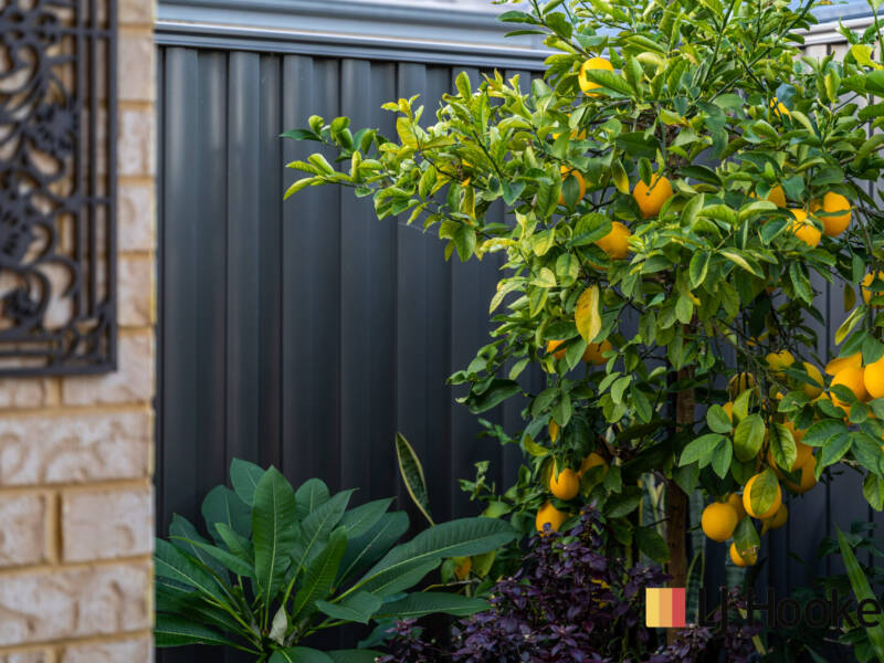 8 Minikin Drive, AVELEY, WA 6069 AUS