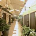 27 Ridley Street, AVELEY, WA 6069 AUS
