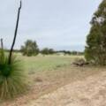 44 Cockatoo Drive, BINDOON, WA 6502 AUS
