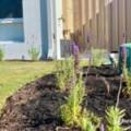 29 Witan Street, BRABHAM, WA 6055 AUS