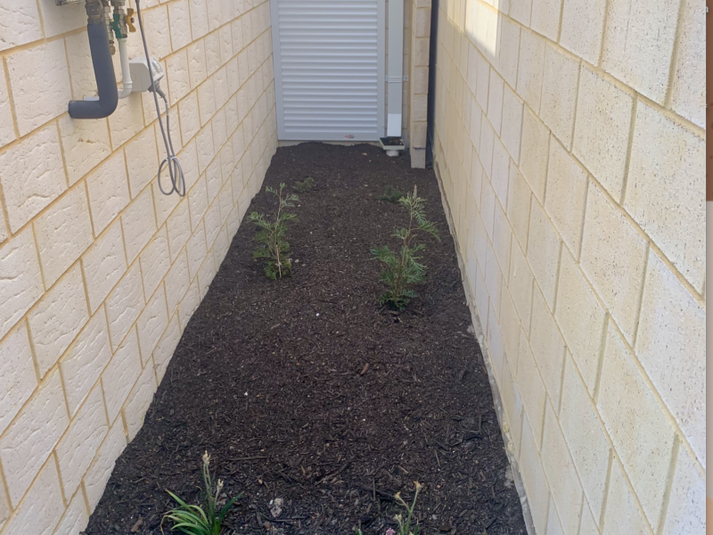 14 Chasewater Street, AVELEY, WA 6069 AUS
