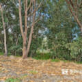 4 Kindred Avenue, HENLEY BROOK, WA 6055 AUS