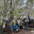 70 Ewart Street, MIDLAND, WA 6056 AUS